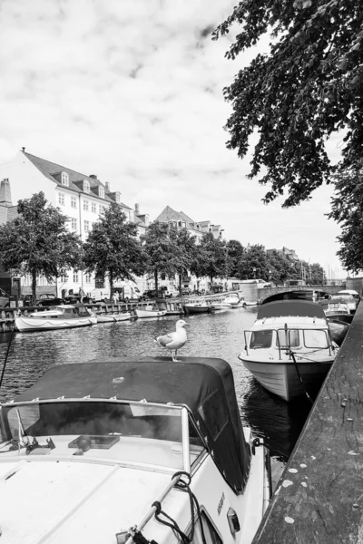 Les Rues Les Attractions Copenhague Voyage Copenhague — Photo