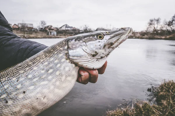 Pescar Lago Fundo Pesca — Fotografia de Stock