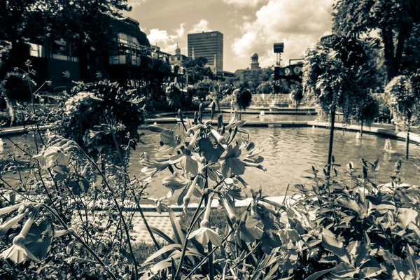 Hermoso Parque Jardín Copenhague Atracciones Turísticas — Foto de Stock