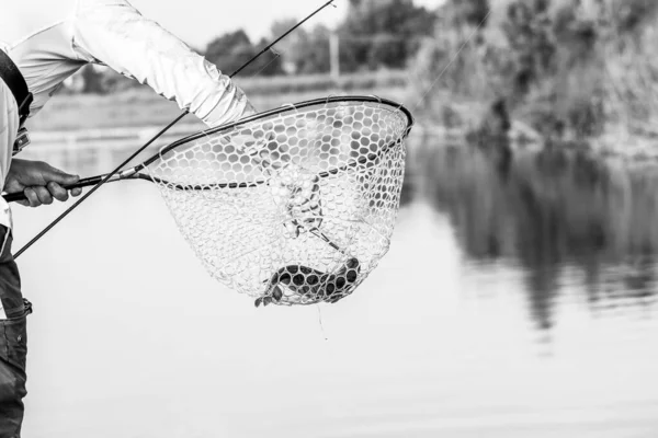 Torneo Pesca Recreación Naturaleza Fondo — Foto de Stock