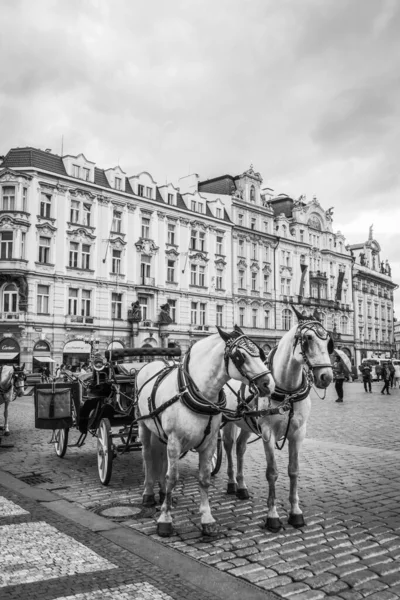 Belle Strade Architettura Autunno Praga — Foto Stock