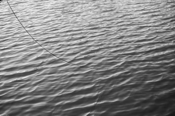 Bonne Prise Pêche Dans Lac — Photo