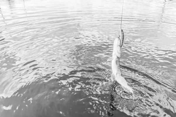 Pesca Descanso Rural Contexto Sobre Tema Recreación — Foto de Stock