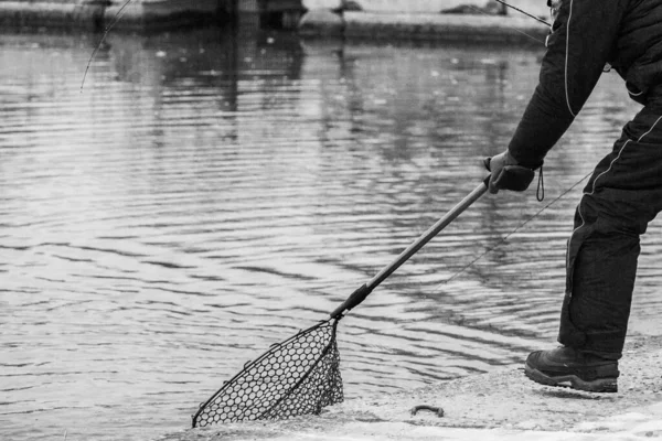 Ψάρεμα Πέστροφα Στη Λίμνη Αναψυχή Αλιείας — Φωτογραφία Αρχείου