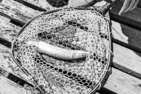 Halászat Természet Pihenés Háttér — Stock Fotó