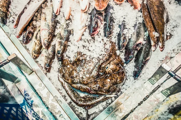 Peixes Mariscos Frescos Gelo Mercado — Fotografia de Stock