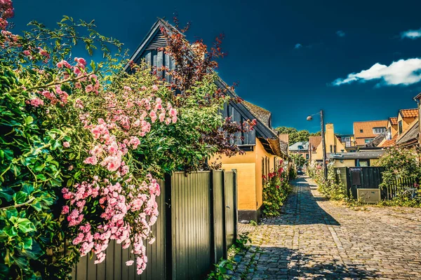 Vacker Dansk Arkitektur Pittoresk — Stockfoto