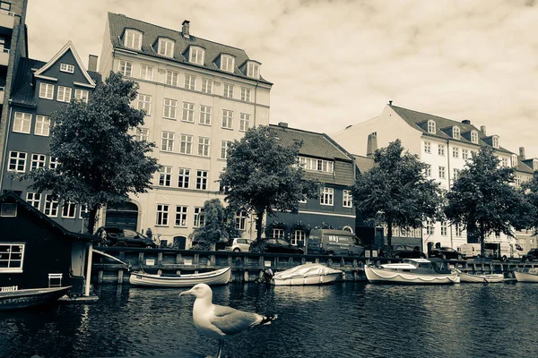 Las Calles Atracciones Copenhague Viaje Copenhague —  Fotos de Stock