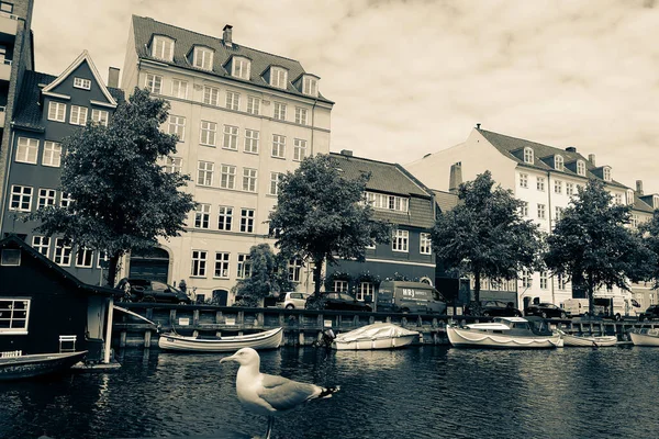 Les Rues Les Attractions Copenhague Voyage Copenhague — Photo