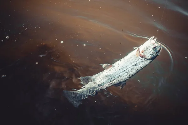 Pesca Alla Trota Sul Lago Pesca Sportiva Attività All Aria — Foto Stock