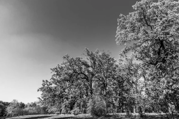 Outono Lindo Belo Parque Histórico — Fotografia de Stock