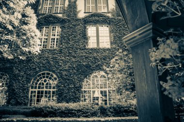 Eski Polonya şehrinin mimarisi. Pençe