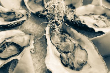 Masadaki istiridyeler lezzetli öğle yemekleri.