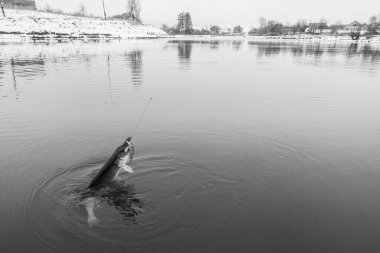 Balıkçılık sporları arka planı