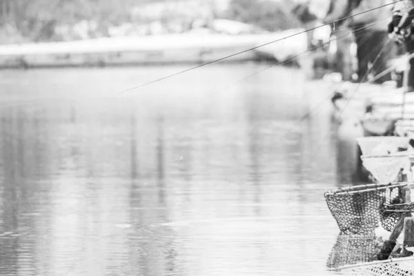 Forellenfischen Dunklen Hintergrund — Stockfoto