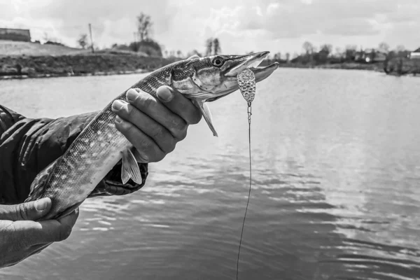 Pêche Repos Rural Contexte Sur Thème Des Loisirs — Photo