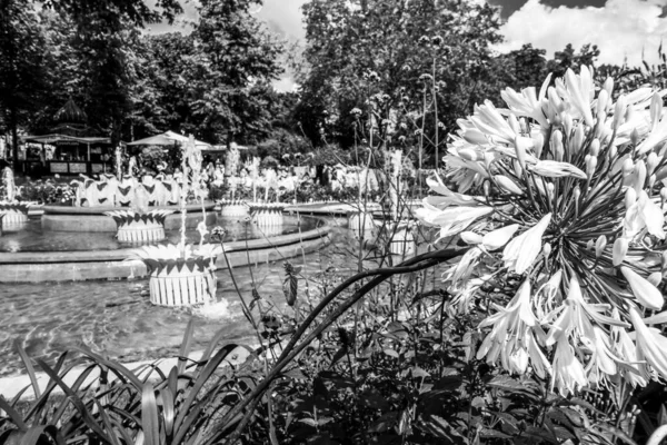 Bellissimo Parco Giardino Copenaghen Attrazioni — Foto Stock