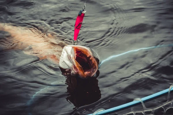 Angeln Auf Dem See Hintergrund Der Fischerei — Stockfoto