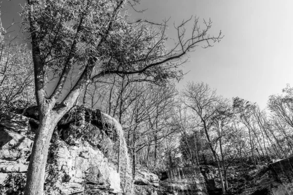 Hermoso Otoño Hermoso Parque Histórico — Foto de Stock