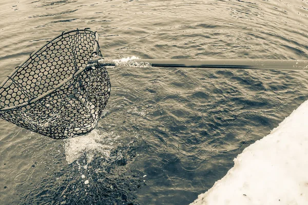 Pesca Alla Trota Fondo Scuro — Foto Stock