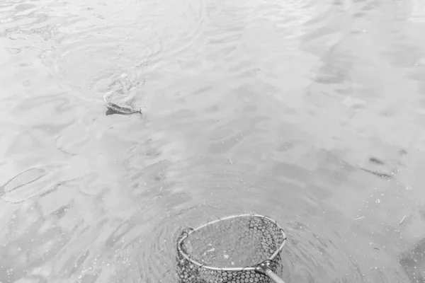 Pêche Dans Lac Nature Loisirs Fond — Photo