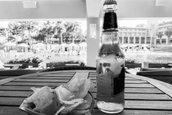 Yaz Kafesindeki Masada Bira Patates Kızartması — Stok fotoğraf