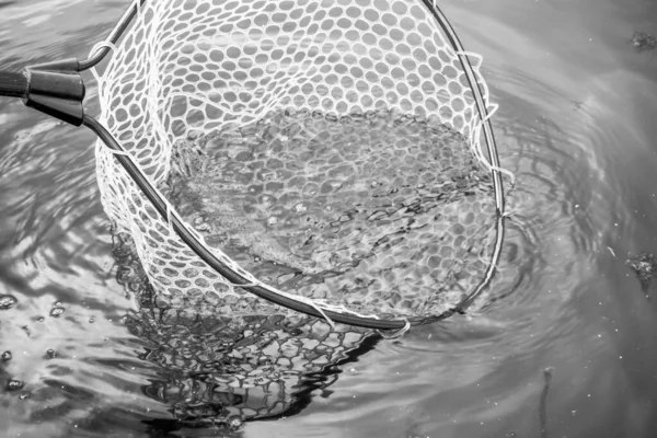 Pesca Deporte Recreación Fondo — Foto de Stock