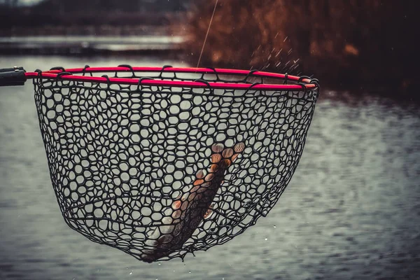 Pesca Pesca Lago — Fotografia de Stock