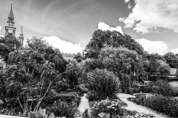 Vacker Grön Park Köpenhamn — Stockfoto