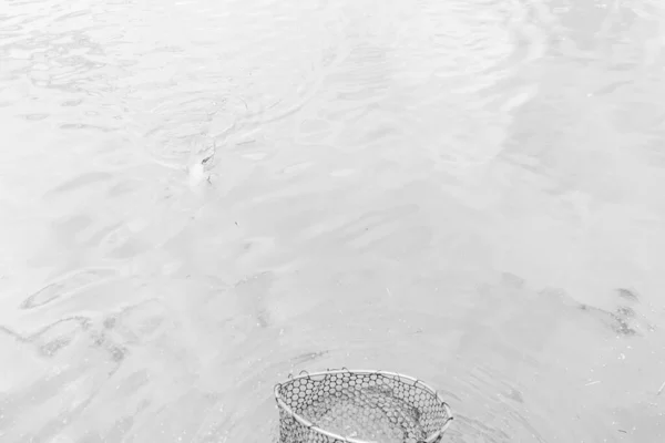 Łowienie Ryb Tle Rekreacji Przyrody Jeziora — Zdjęcie stockowe