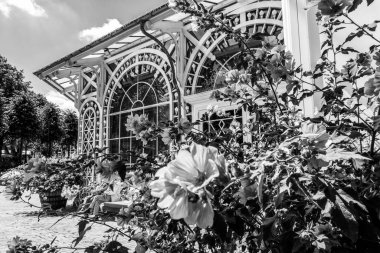 Kopenhag 'daki güzel park ve bahçe. Çekim