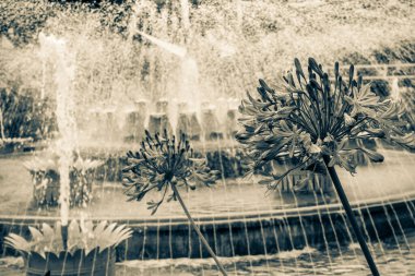 Kopenhag 'daki güzel park ve bahçe. Çekim