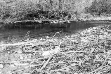 Dağların ve nehirlerin güzel doğası