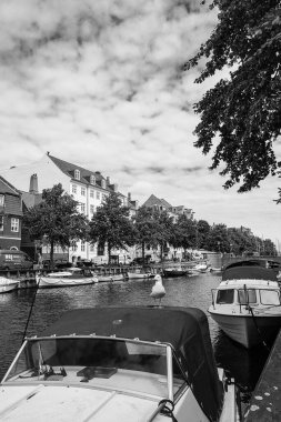 Kopenhag 'ın sokakları ve eğlence yerleri, Kopenhag gezisi.