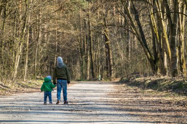 Çocuklar ormanda yürür. Yalıtım