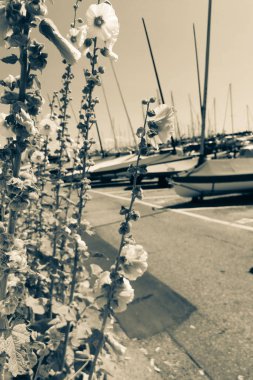 Büyük Danimarka, Kopenhag ve deniz