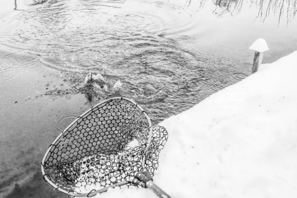 Pesca Alla Trota Fondo Scuro — Foto Stock