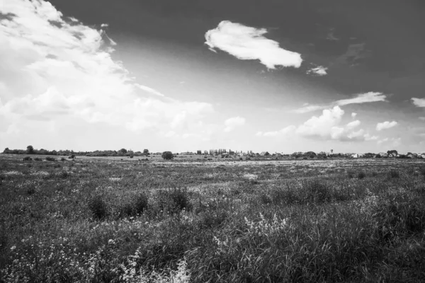 Belo Campo Com Papoilas Estrada — Fotografia de Stock