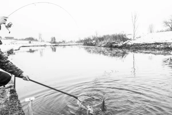 Pesca Truta Lago — Fotografia de Stock