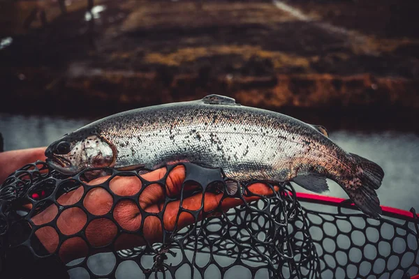 Pesca Pesca Lago — Fotografia de Stock