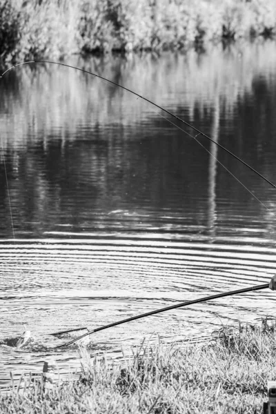 Fiske Turnering Rekreation Natur Bakgrund — Stockfoto