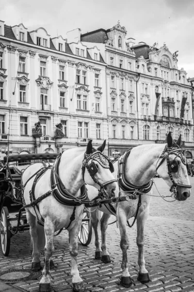 Ruas Bonitas Arquitetura Outono Praga — Fotografia de Stock