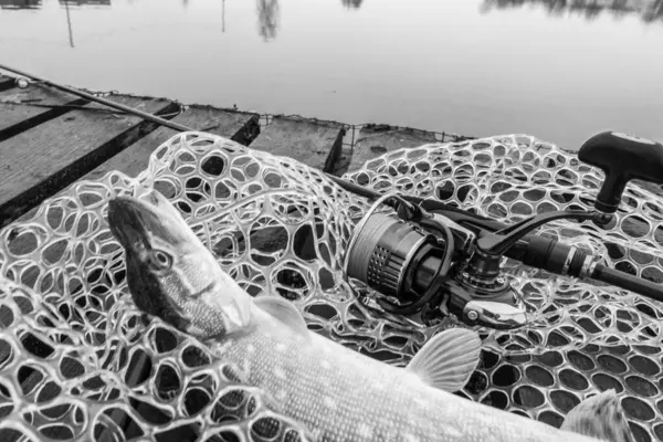 Pesca Ricreazione All Aperto Sfondo Lago — Foto Stock