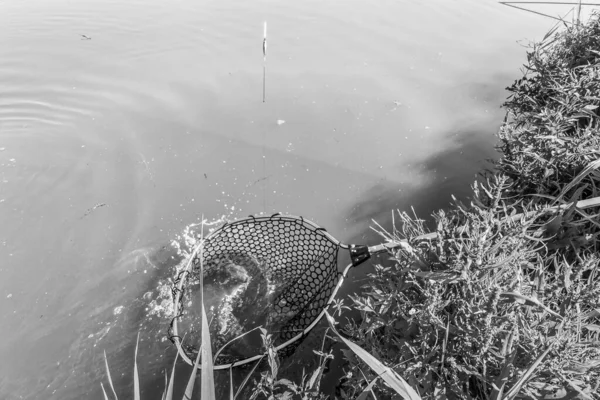 湖での釣り自然レクリエーションの背景 — ストック写真