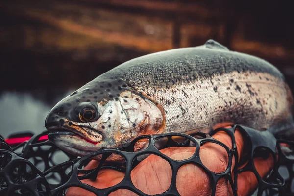 Pêche Pêche Sur Lac — Photo