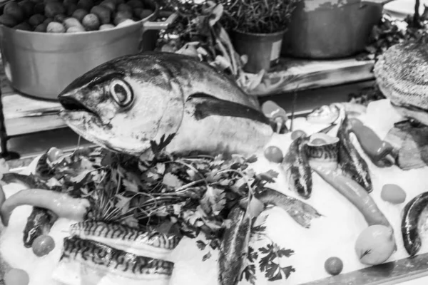 Fisch Ausstellung Restaurant — Stockfoto