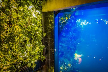 İç kısımda taze çiçekler var.