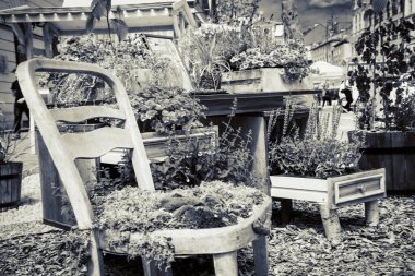 Wroclaw şehrinin caddeleri ve evleri. Şehir manzarası