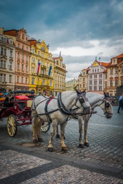 Güz Prag 'ın güzel sokakları ve mimarisi