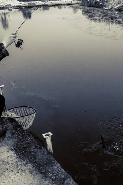 Pesca Alla Trota Sul Lago — Foto Stock